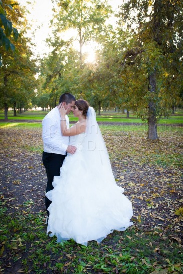 Nichole and Michael Wedding