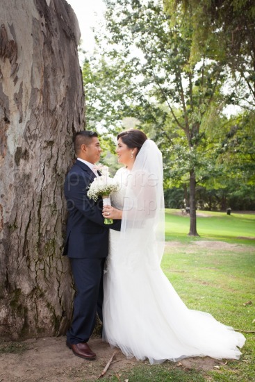 Sotelo Wedding