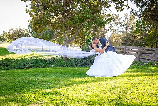 Roger and Brenda Wedding